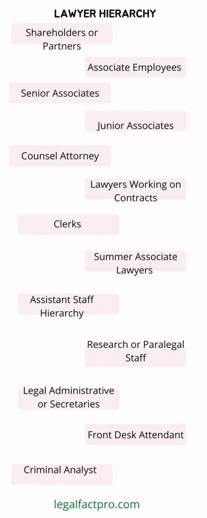 lawyer hierarchy