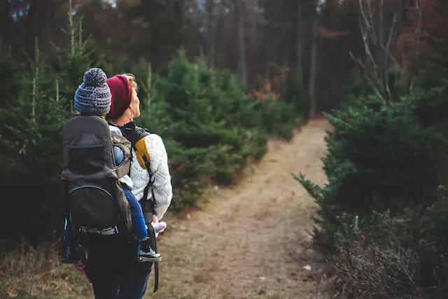Things You Need to Have Before Going On a Hike